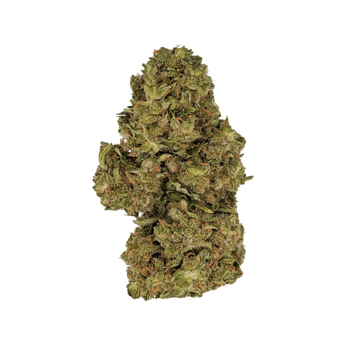 Photo of Afgoo
