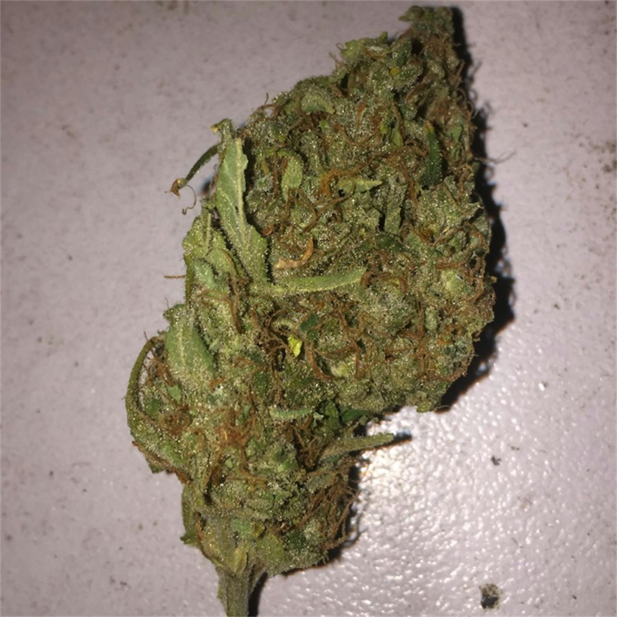 Photo of AK-47