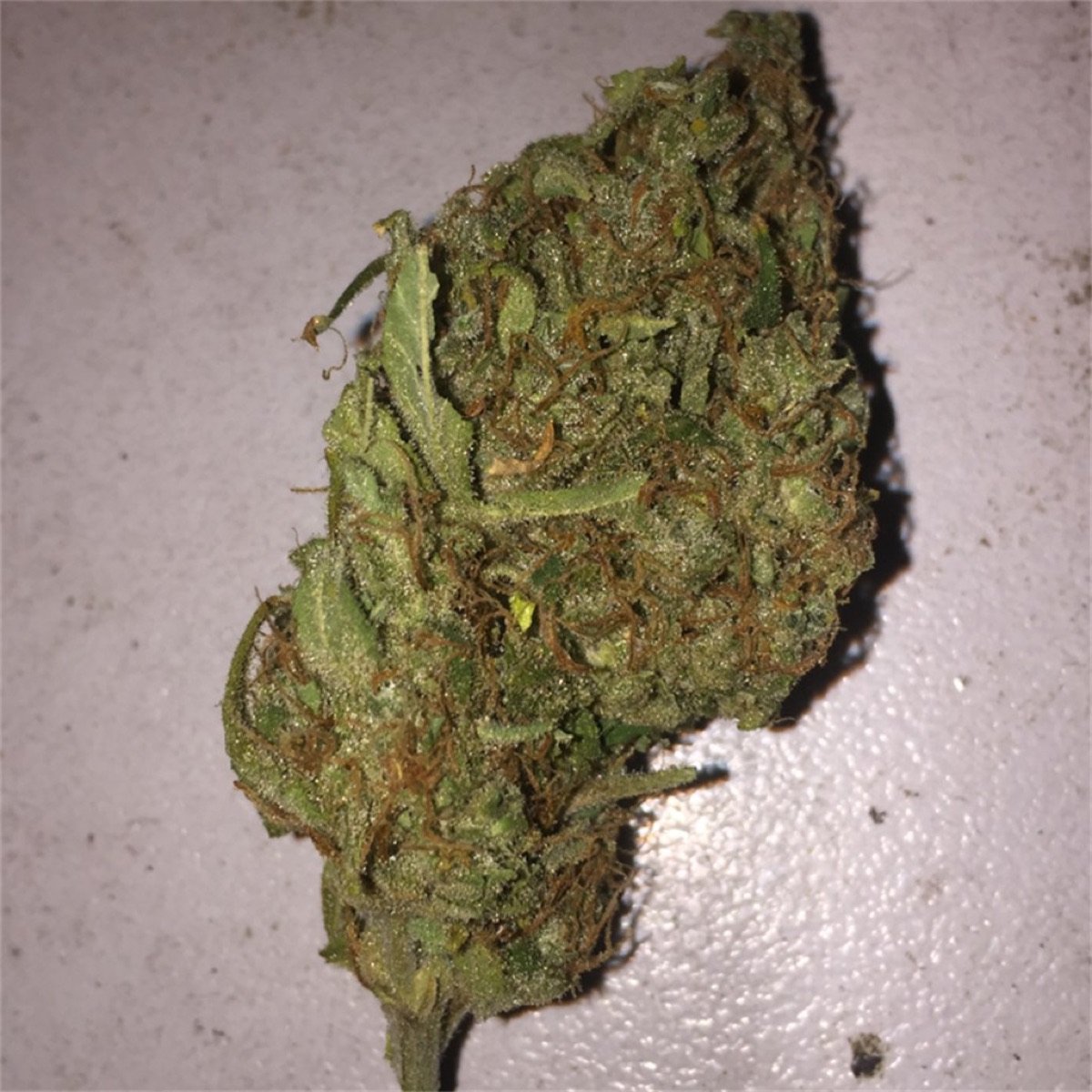 Photo of AK