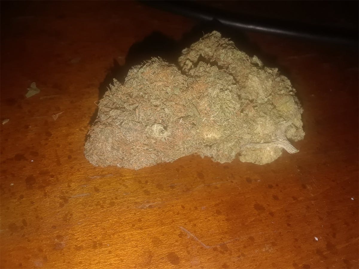 Photo of Alien Dawg