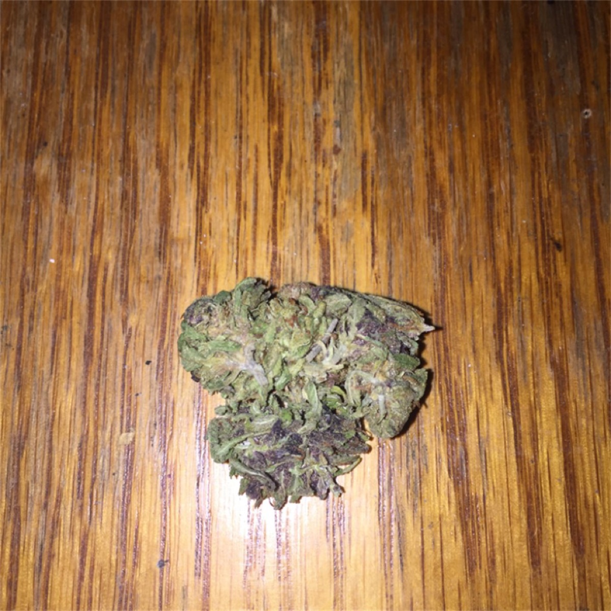 Photo of Alien Kush