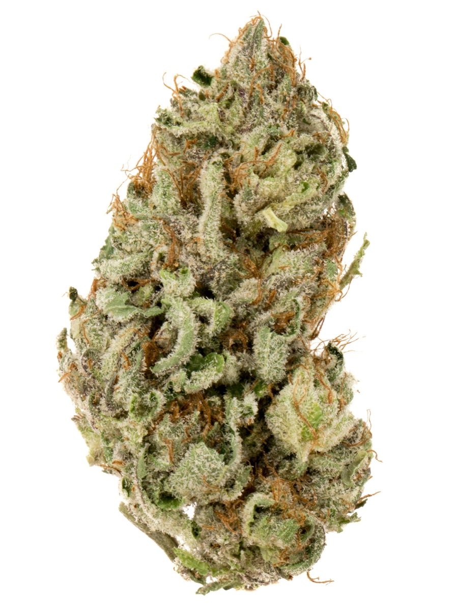 Photo of Alien Tahoe OG