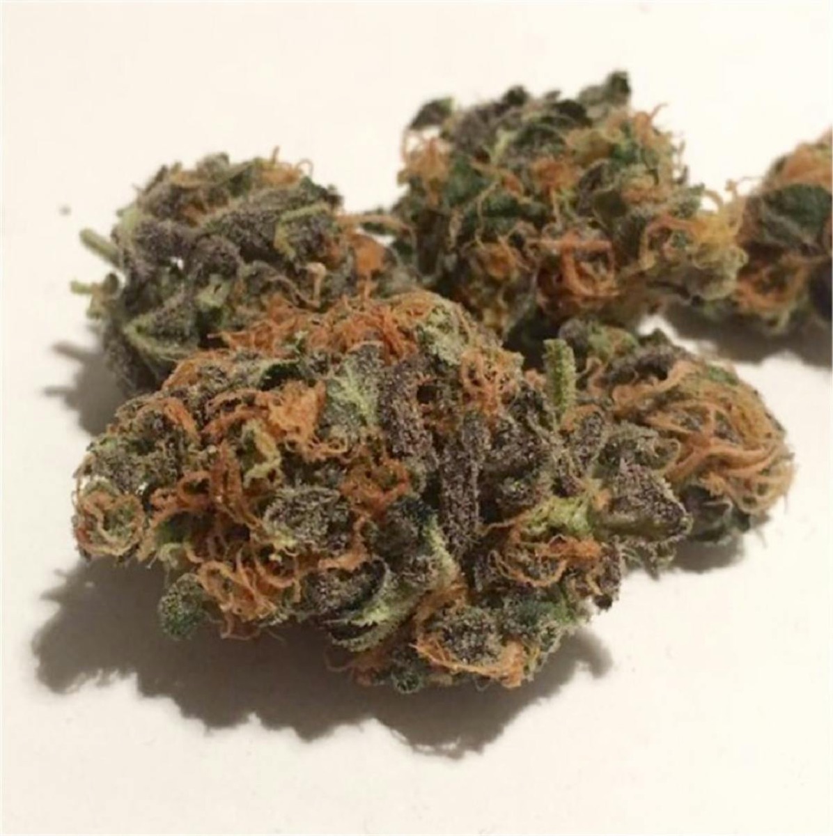 Photo of Amnesia Haze