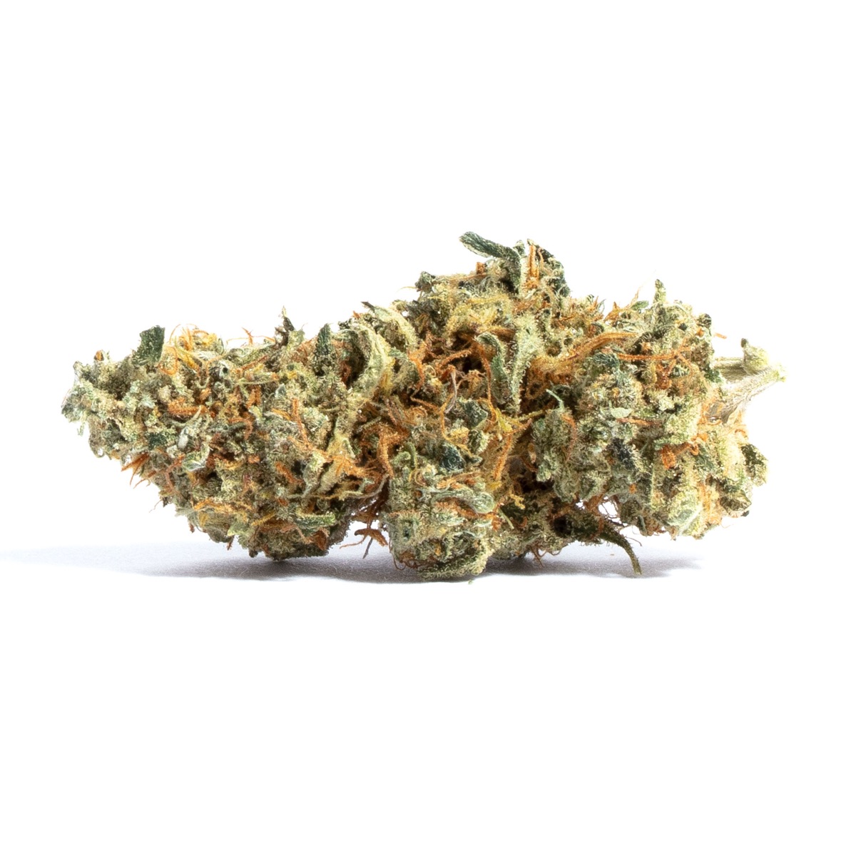 Photo of Amnesia