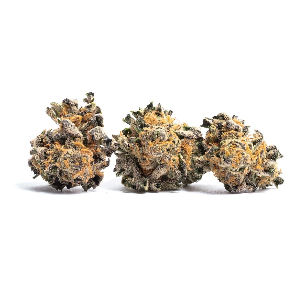Photo of Animal Cookies
