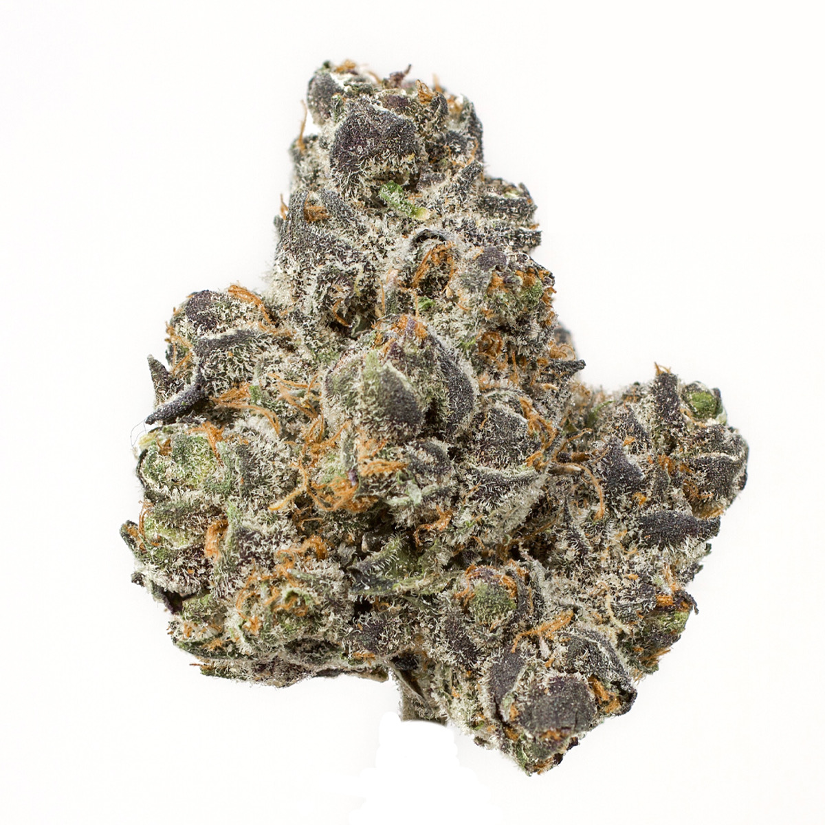 Photo of Apple Fritter