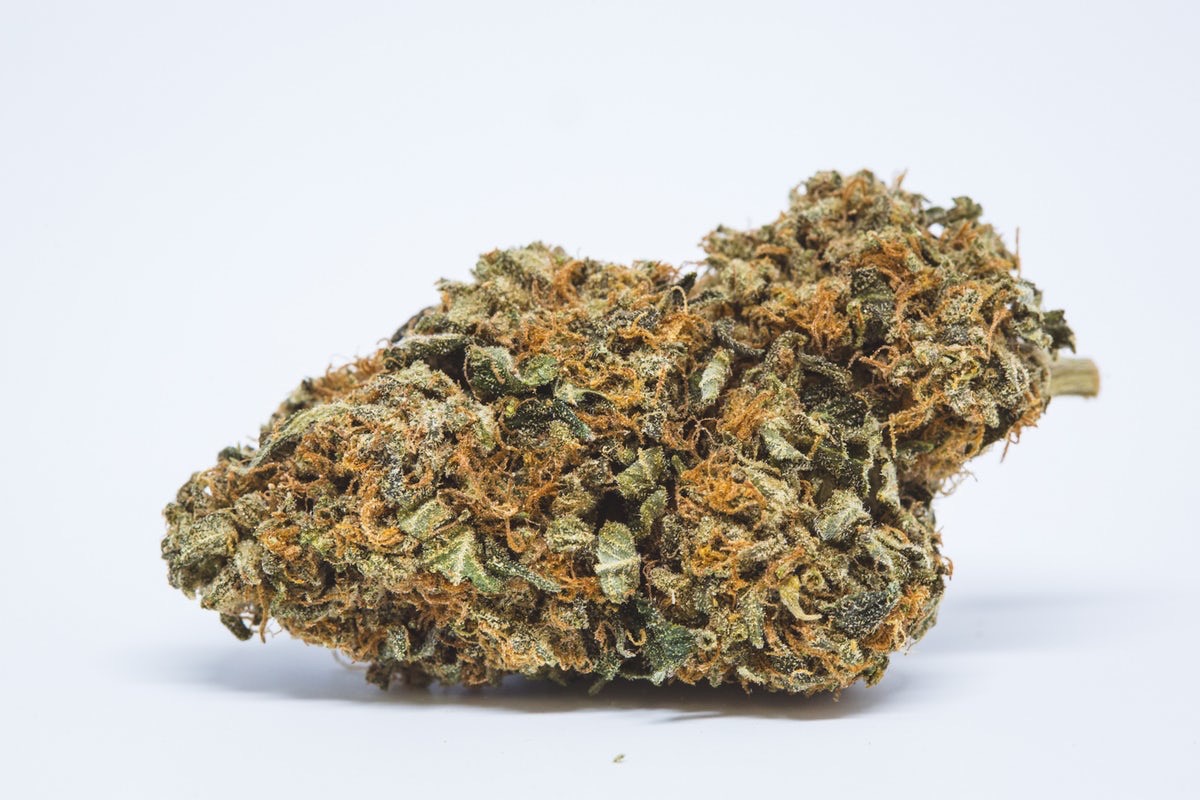 Photo of Auto Orange Bud