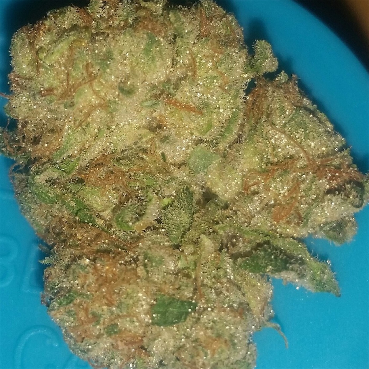 Photo of Banana