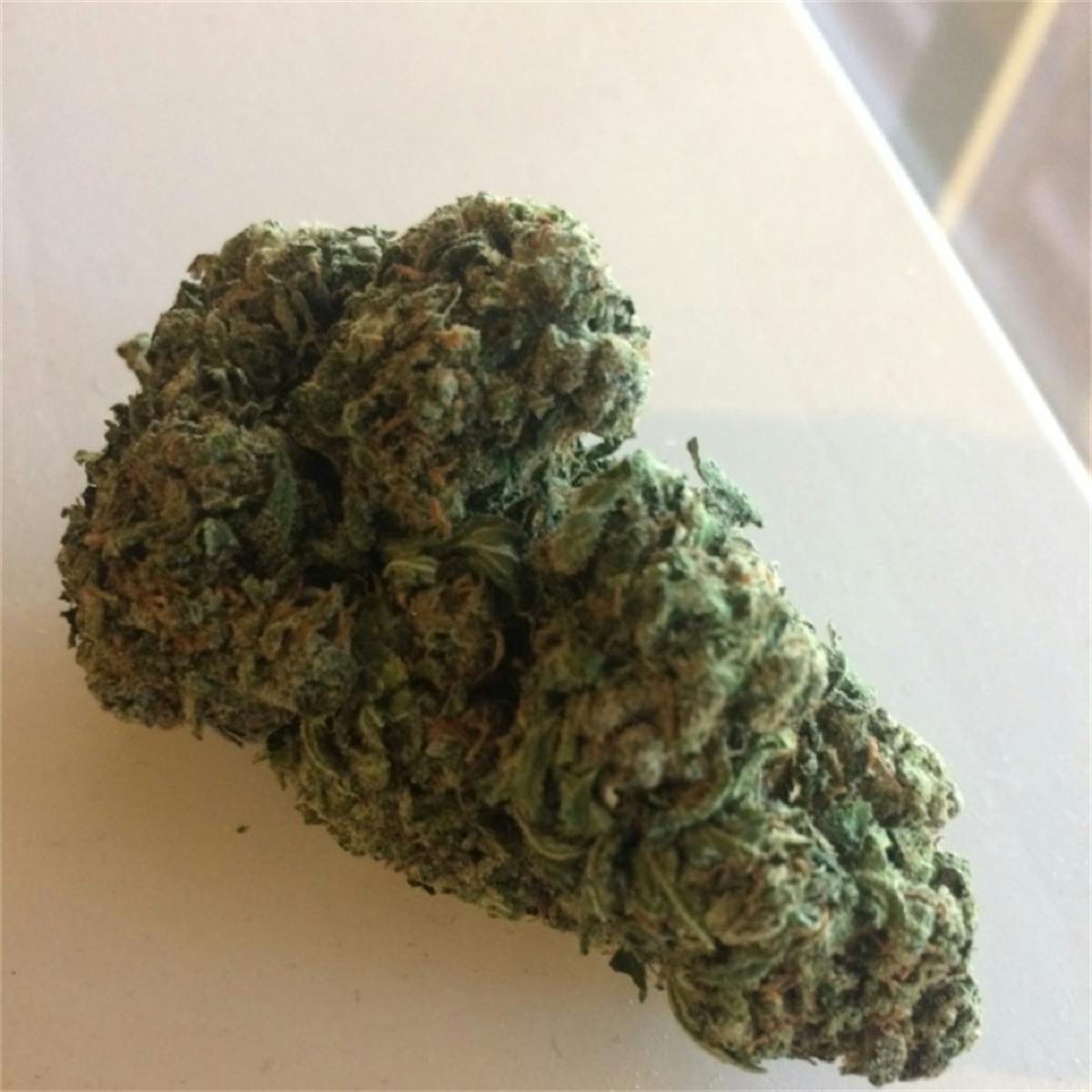 Photo of Big Bud