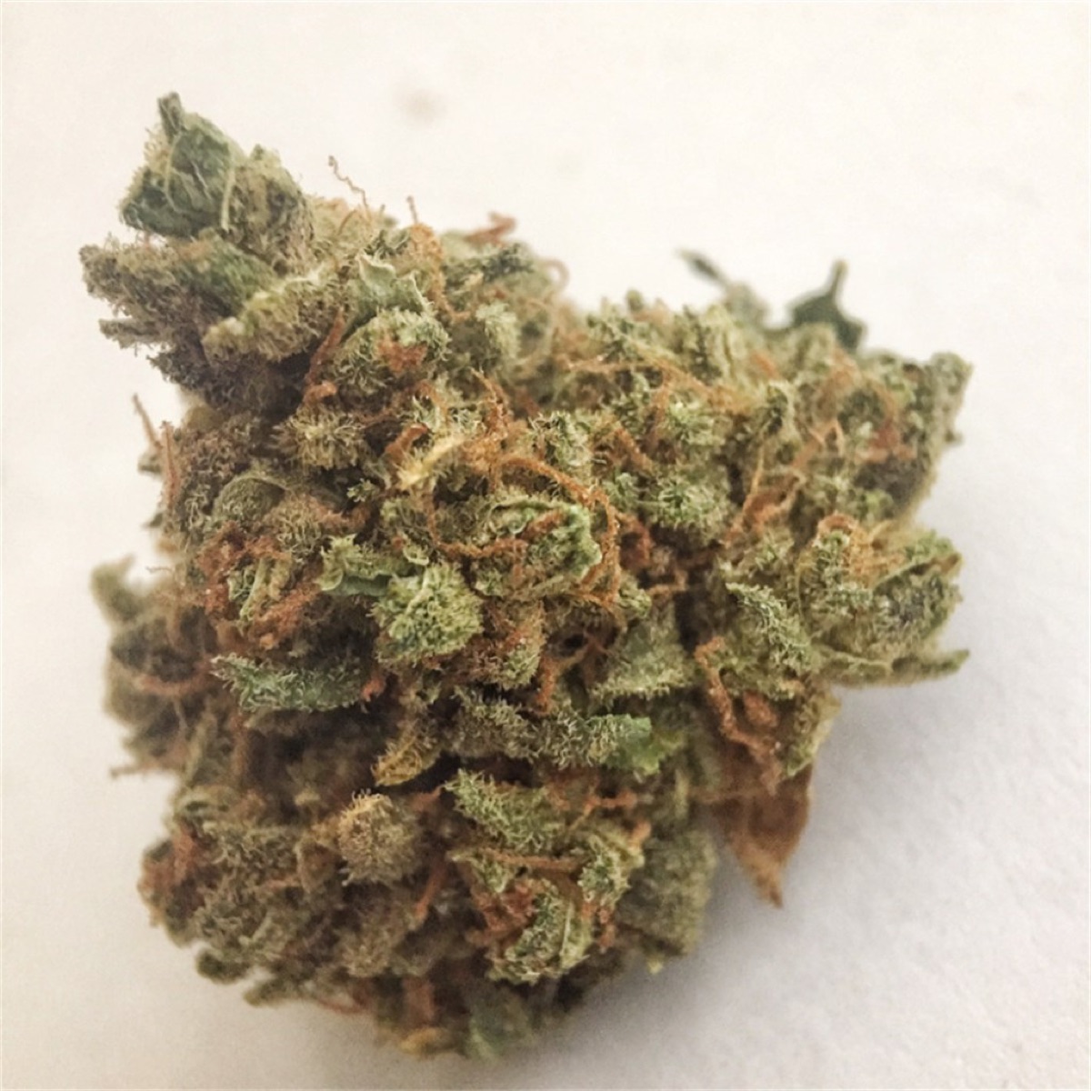 Photo of Big Buddha Cheese
