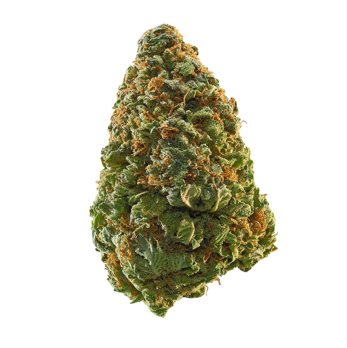 Photo of Black Cherry Gushers