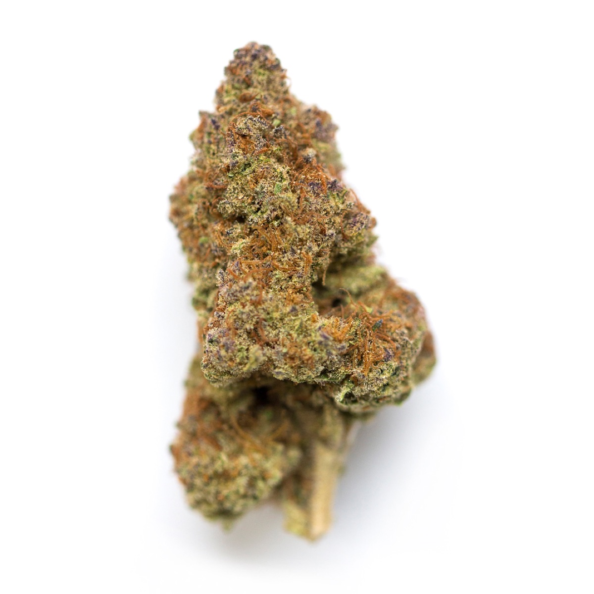 Photo of Black Cherry Pie