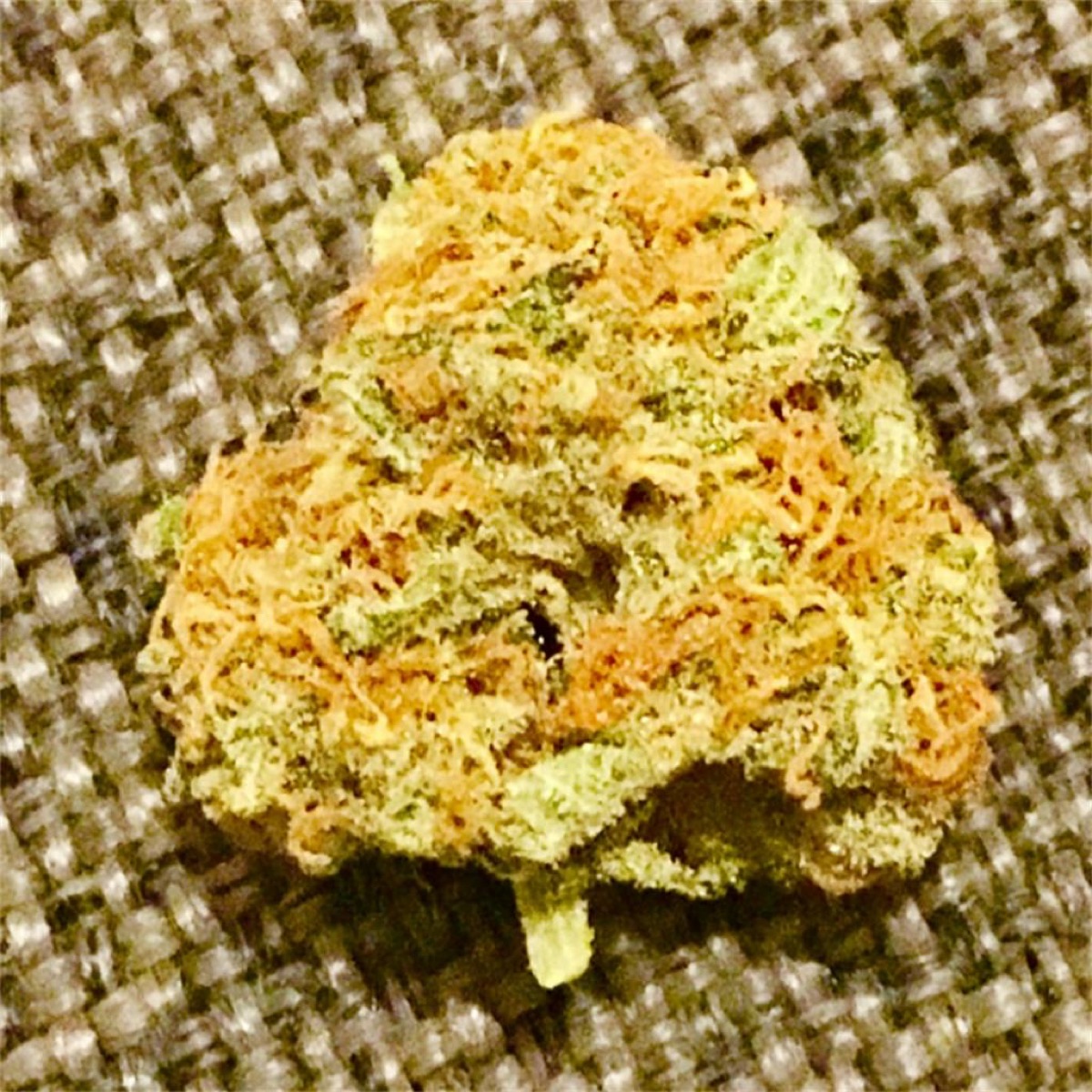 Photo of Black Russian