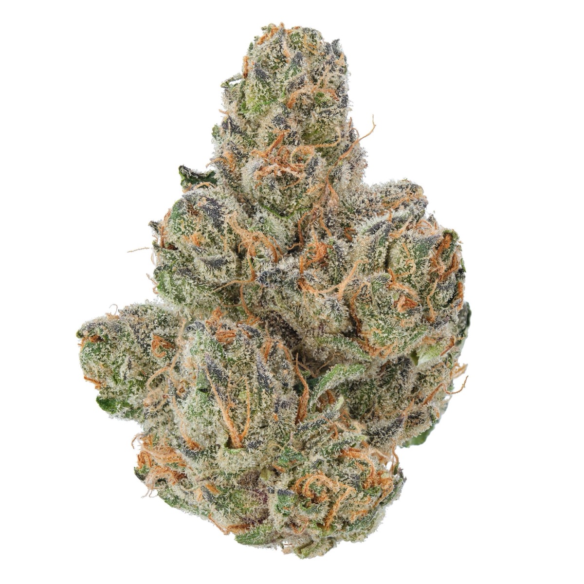 Photo of Blackberry Kush