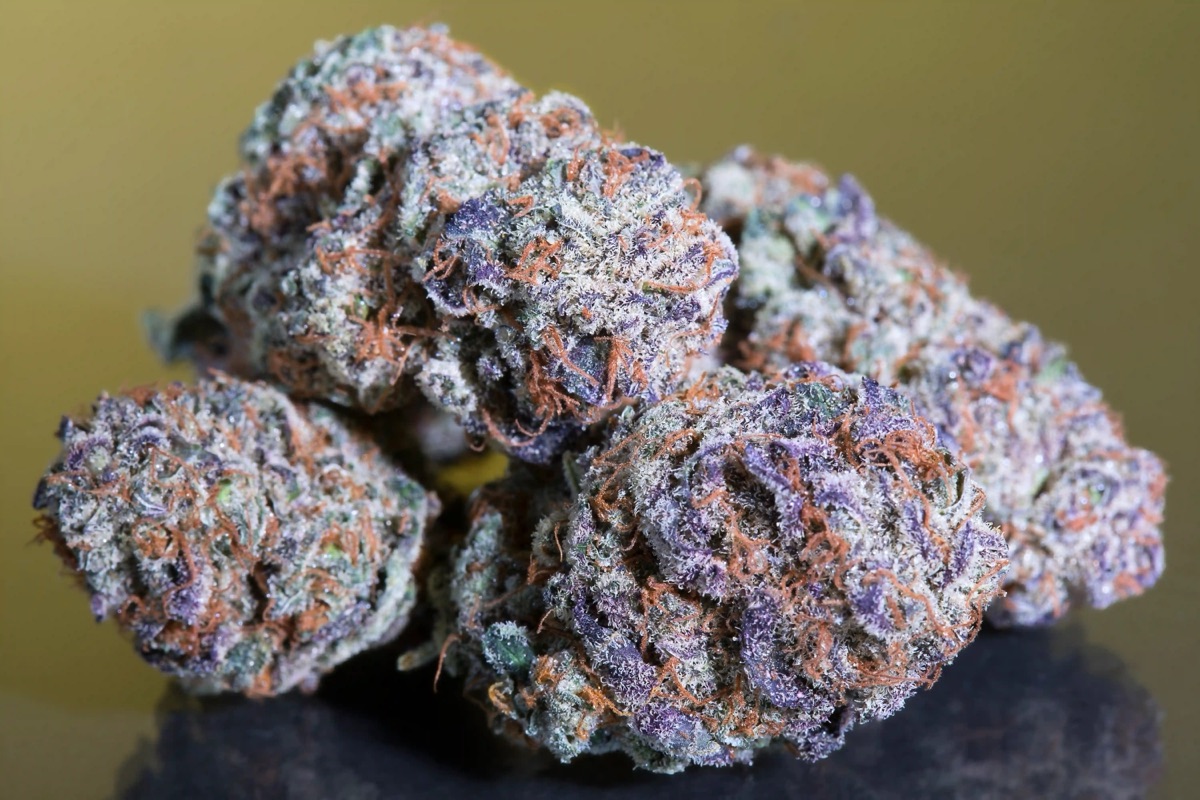 Photo of Blue Gem