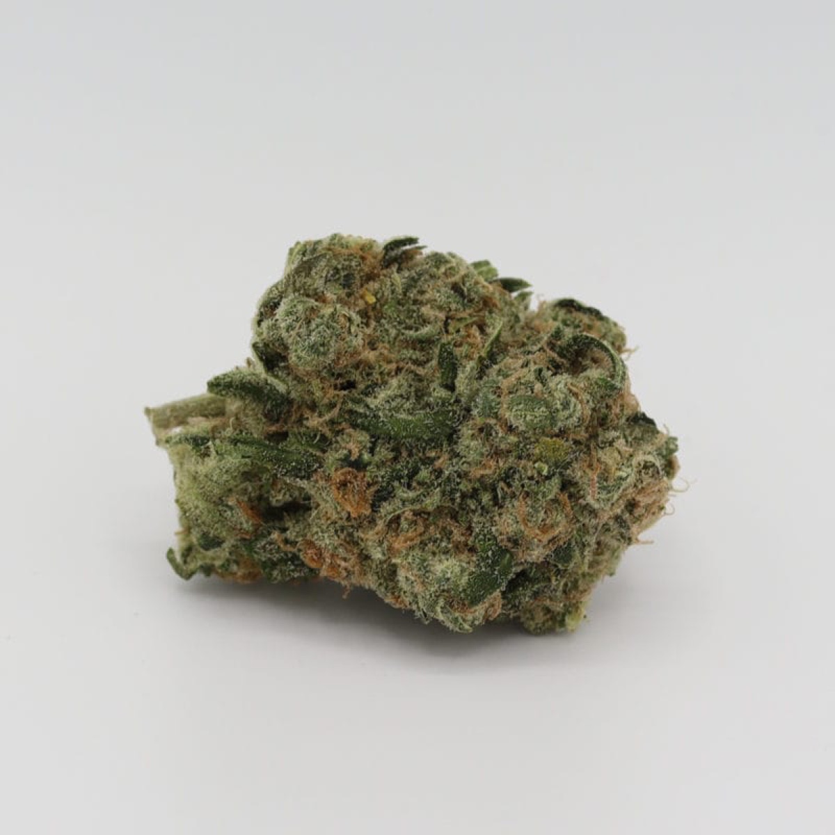 Photo of Blue Haze