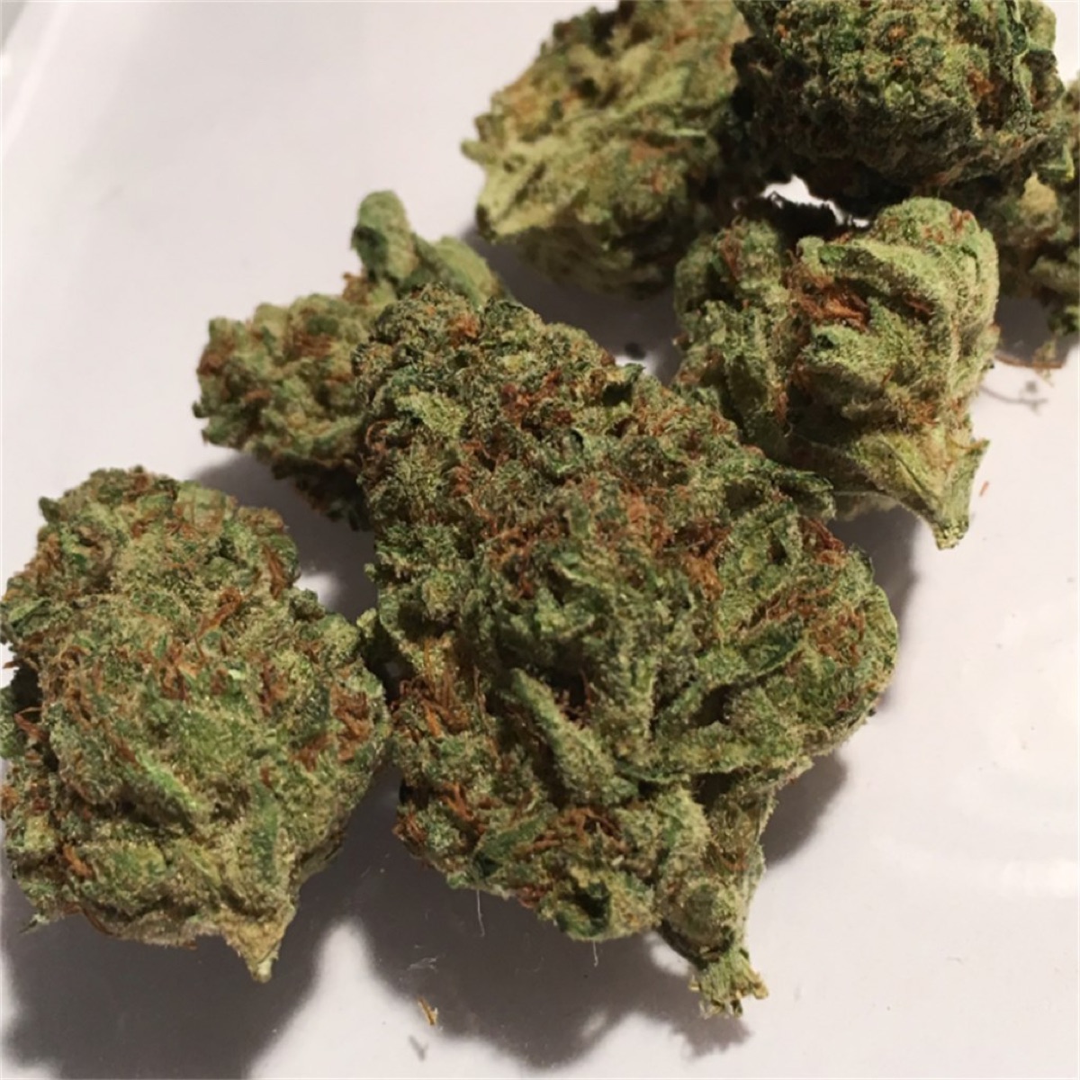 Photo of Blue Moonshine