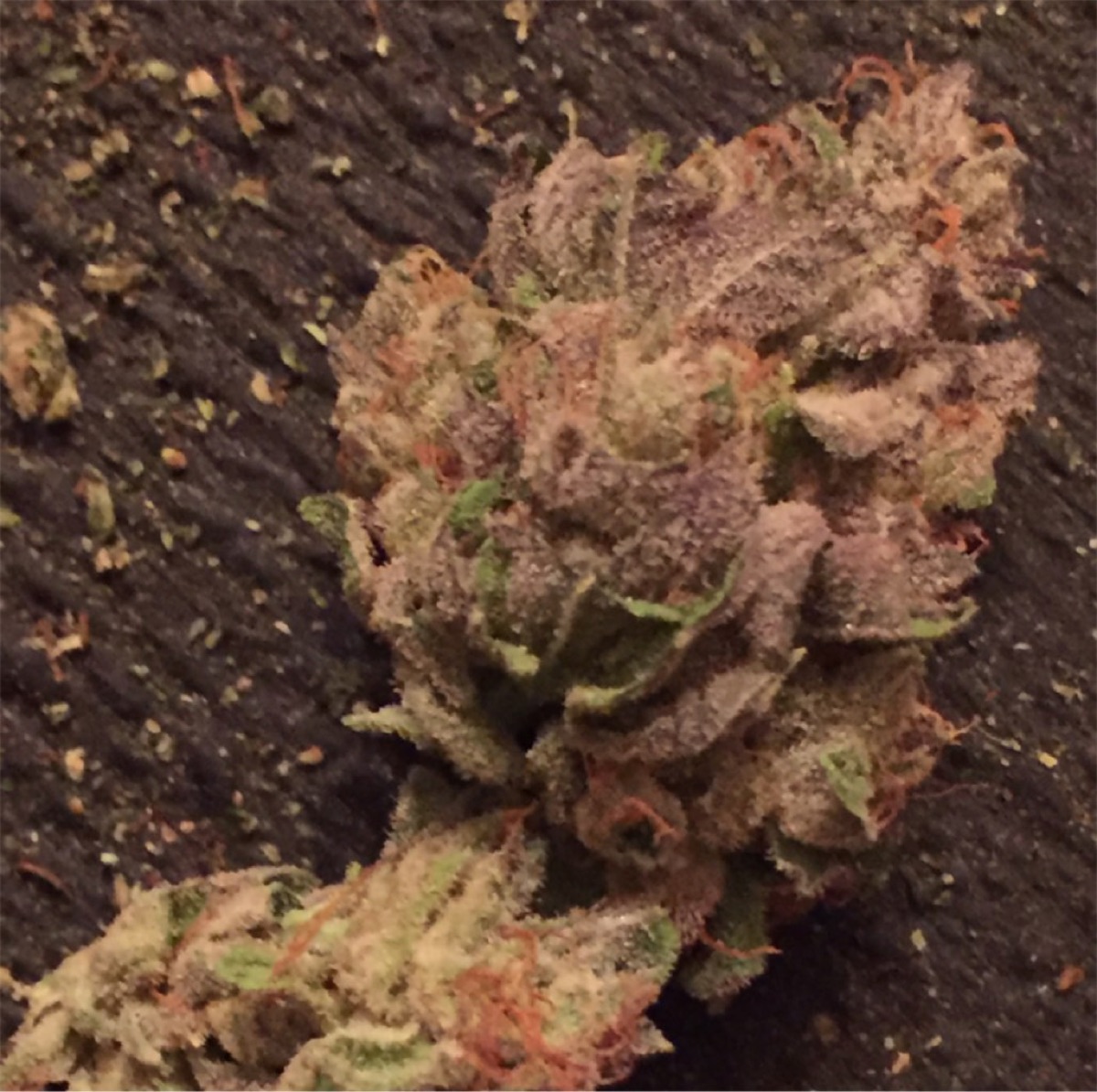 Photo of Blue Power