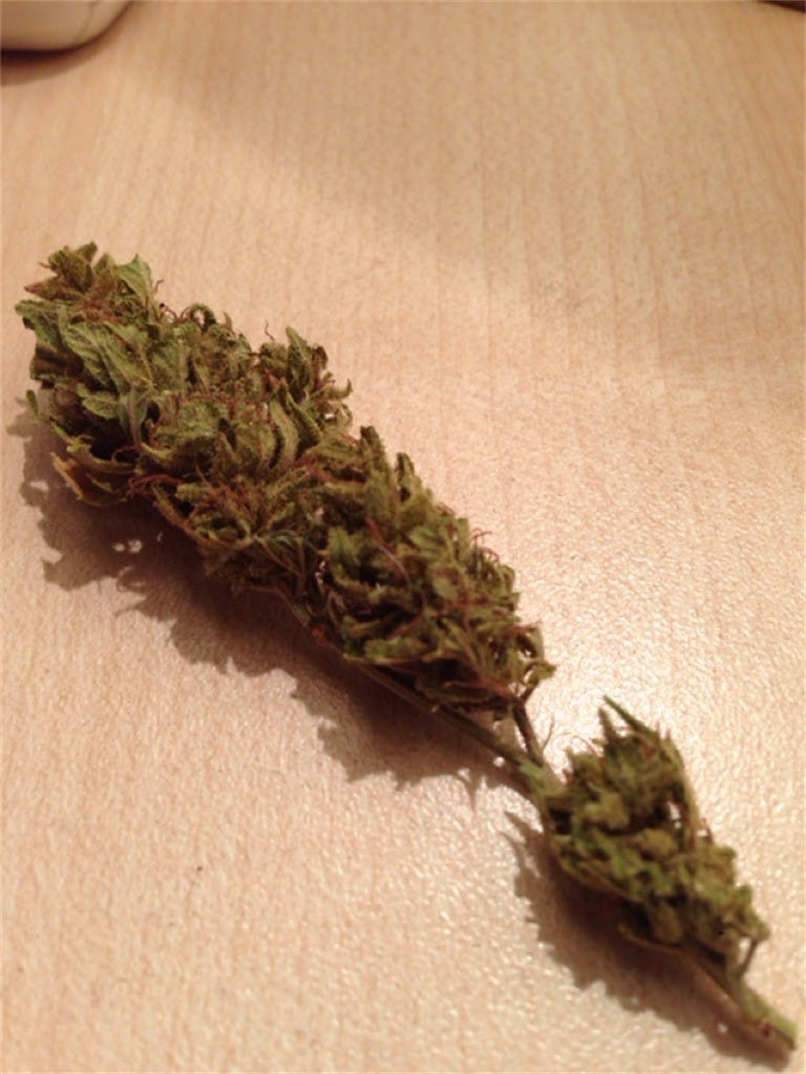Photo of Blue Velvet