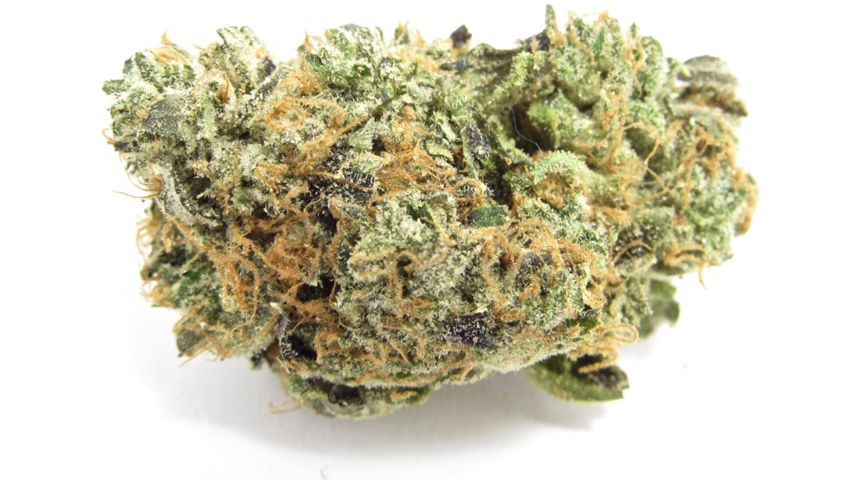 Photo of Blue Zushi