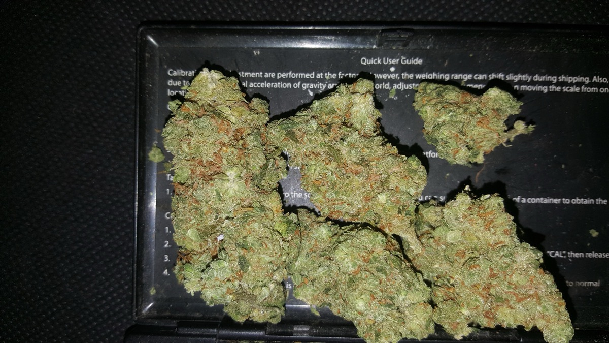 Photo of Blueberry Muffin