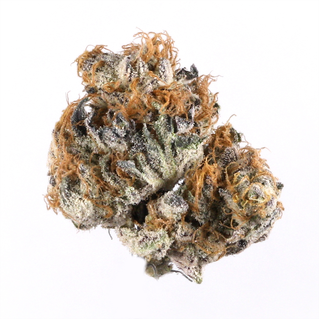 Photo of Blueberry