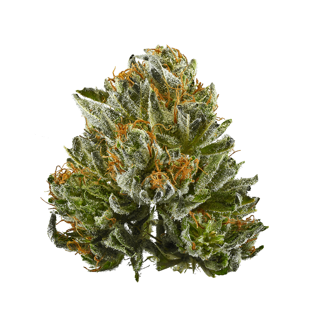 Photo of Bubba Kush