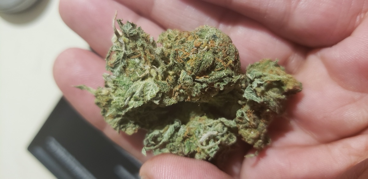 Photo of Bubble Kush