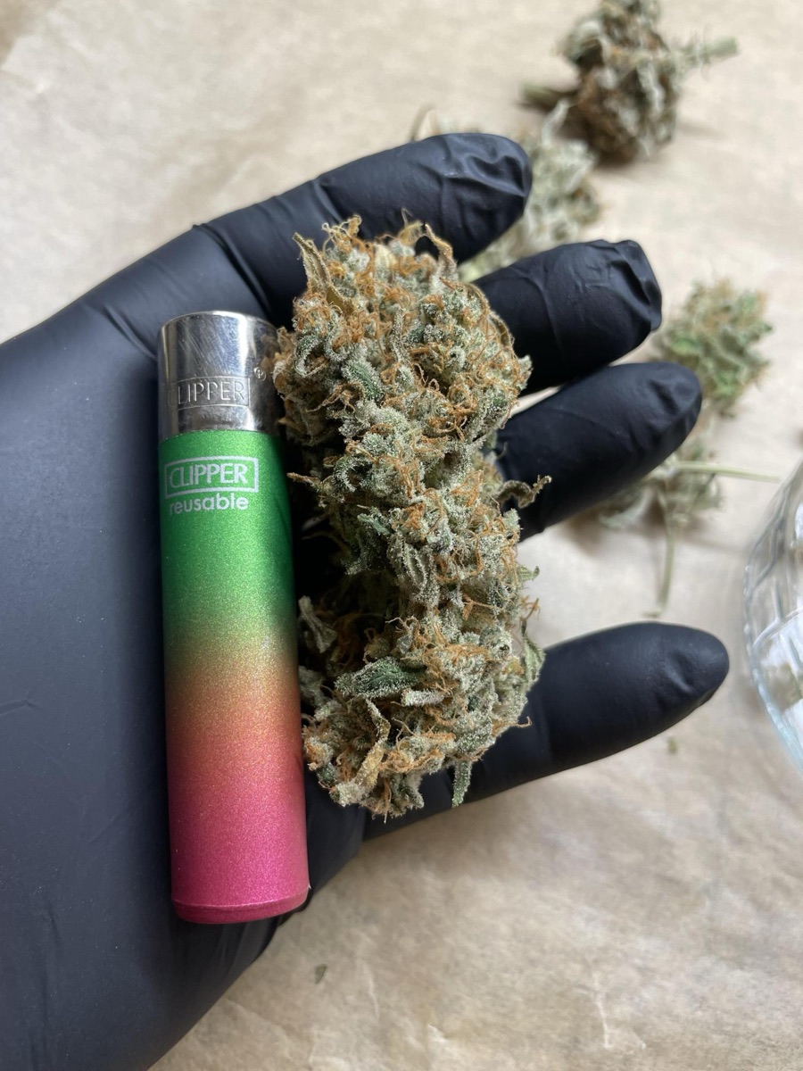 Photo of Buttercream Gelato