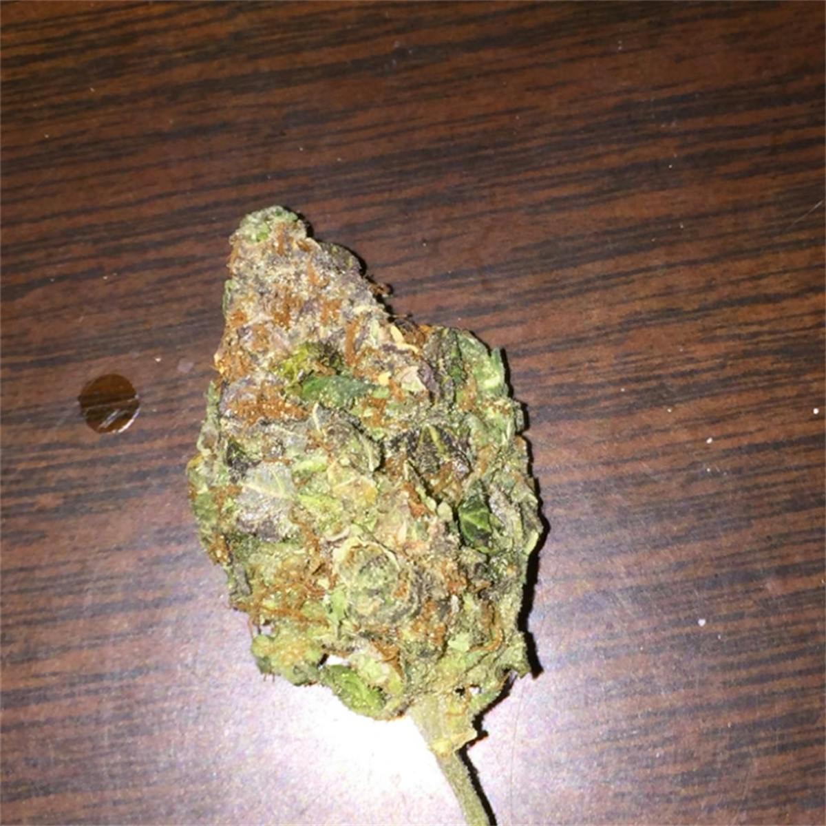 Photo of C99
