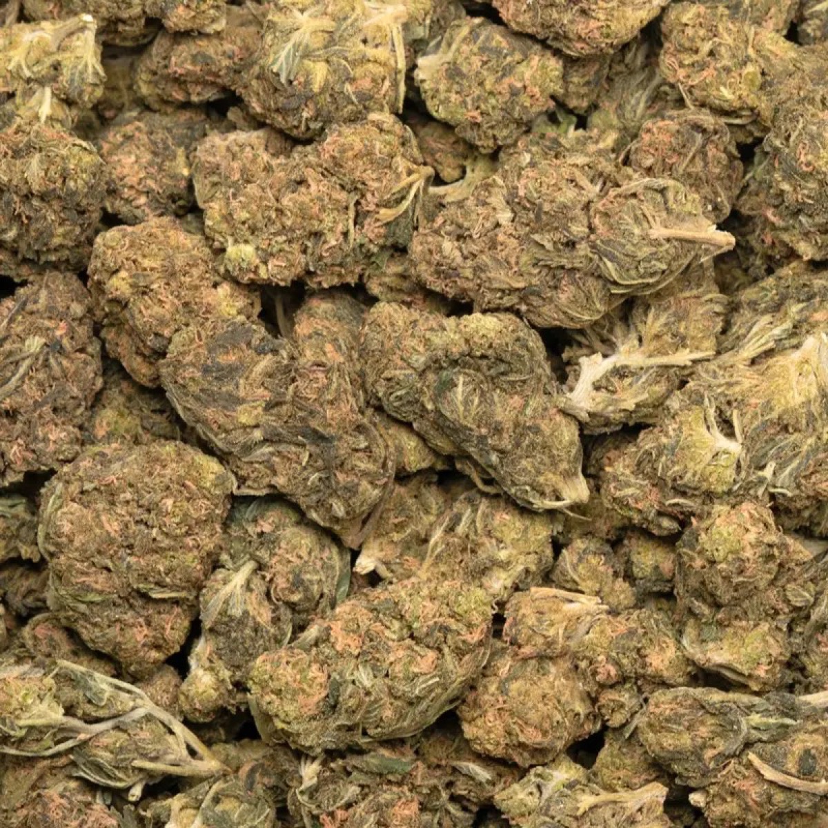 Photo of California Orange
