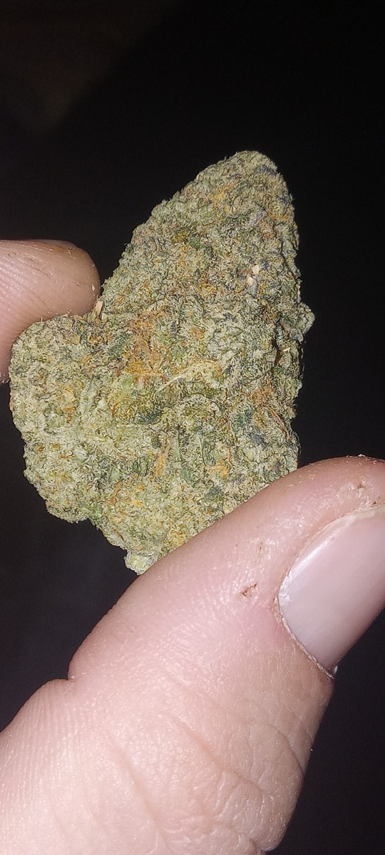 Photo of Californian Orange