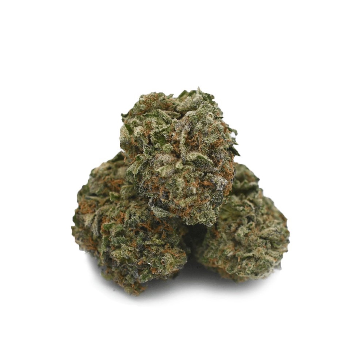 Photo of Candy Breath