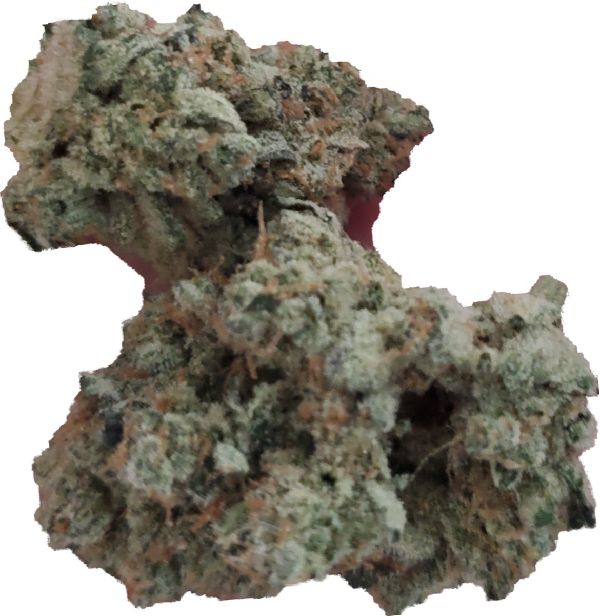 Photo of Candy Cake