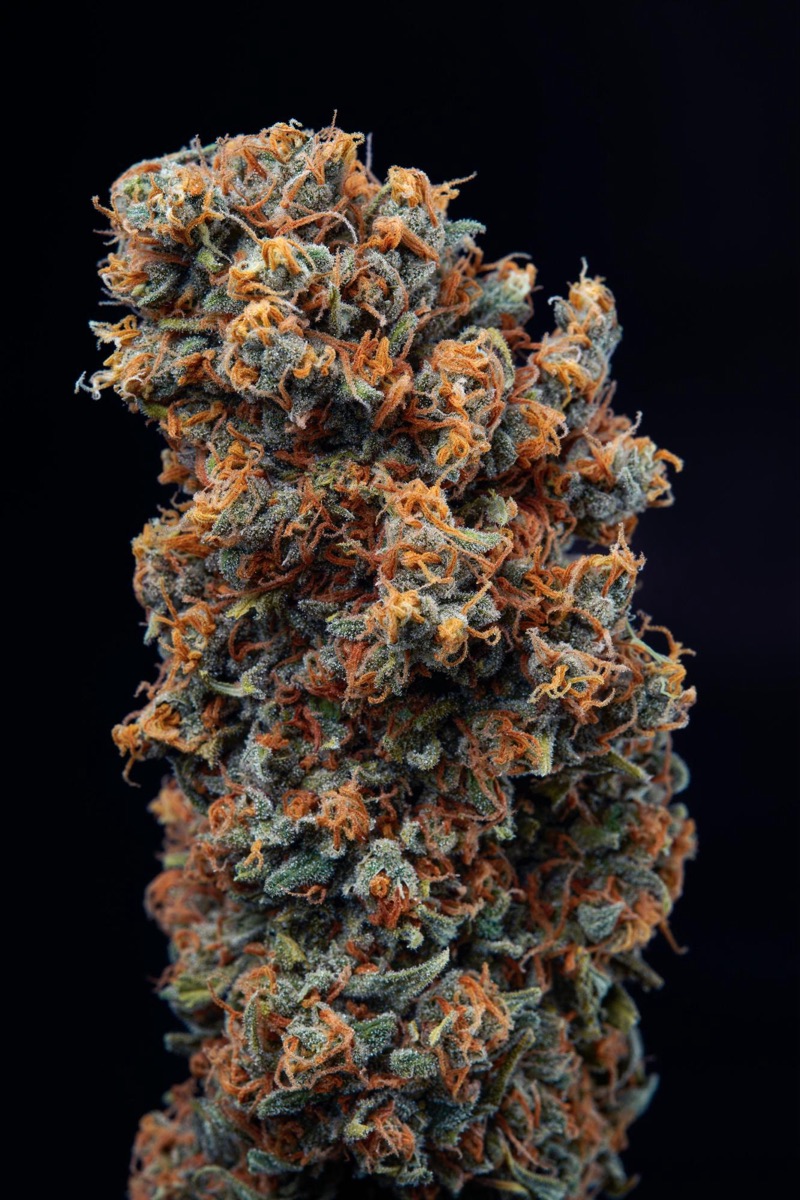 Photo of Candy Kush Express (Fast Flowering)