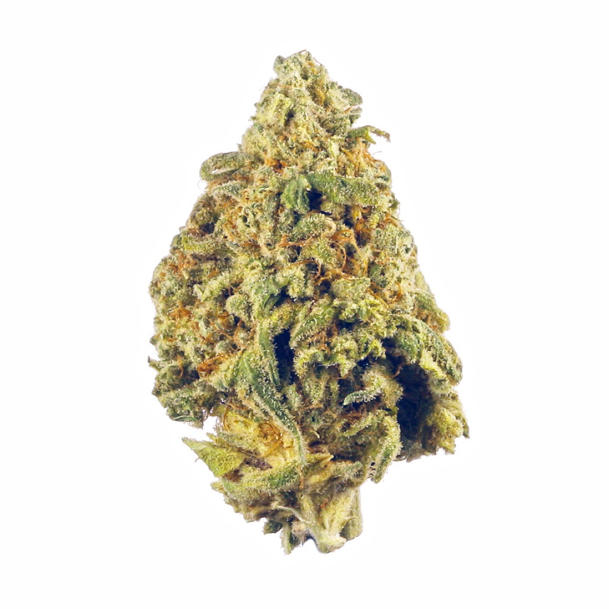 Photo of CBD Compassion
