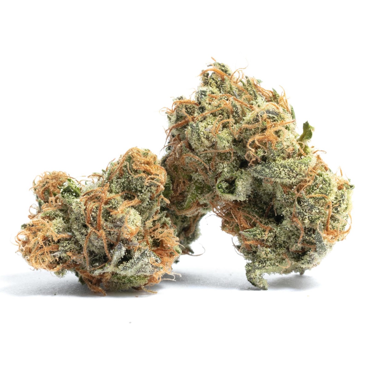 Photo of Cheese Quake