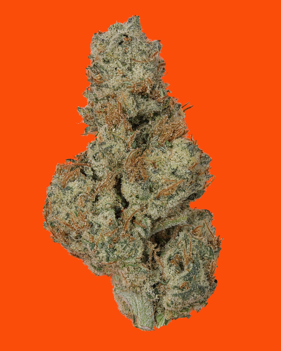 Photo of Chem D