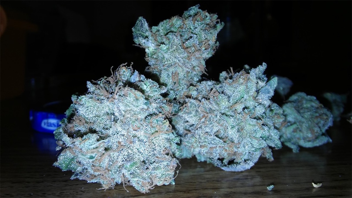 Photo of Chem Sister