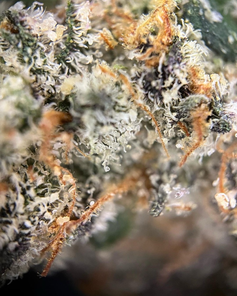 Photo of Cherry Gas