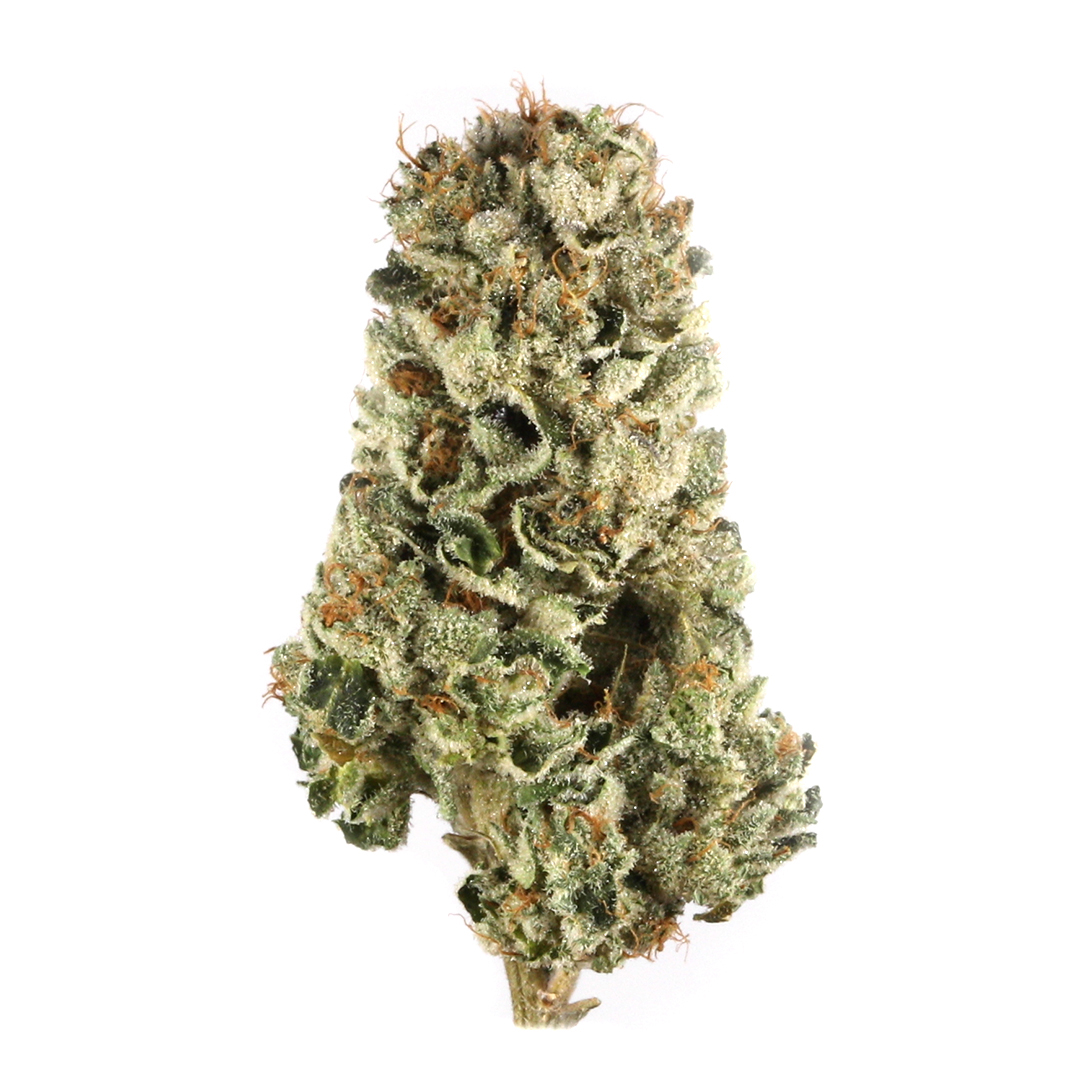 Photo of Cherry Pie