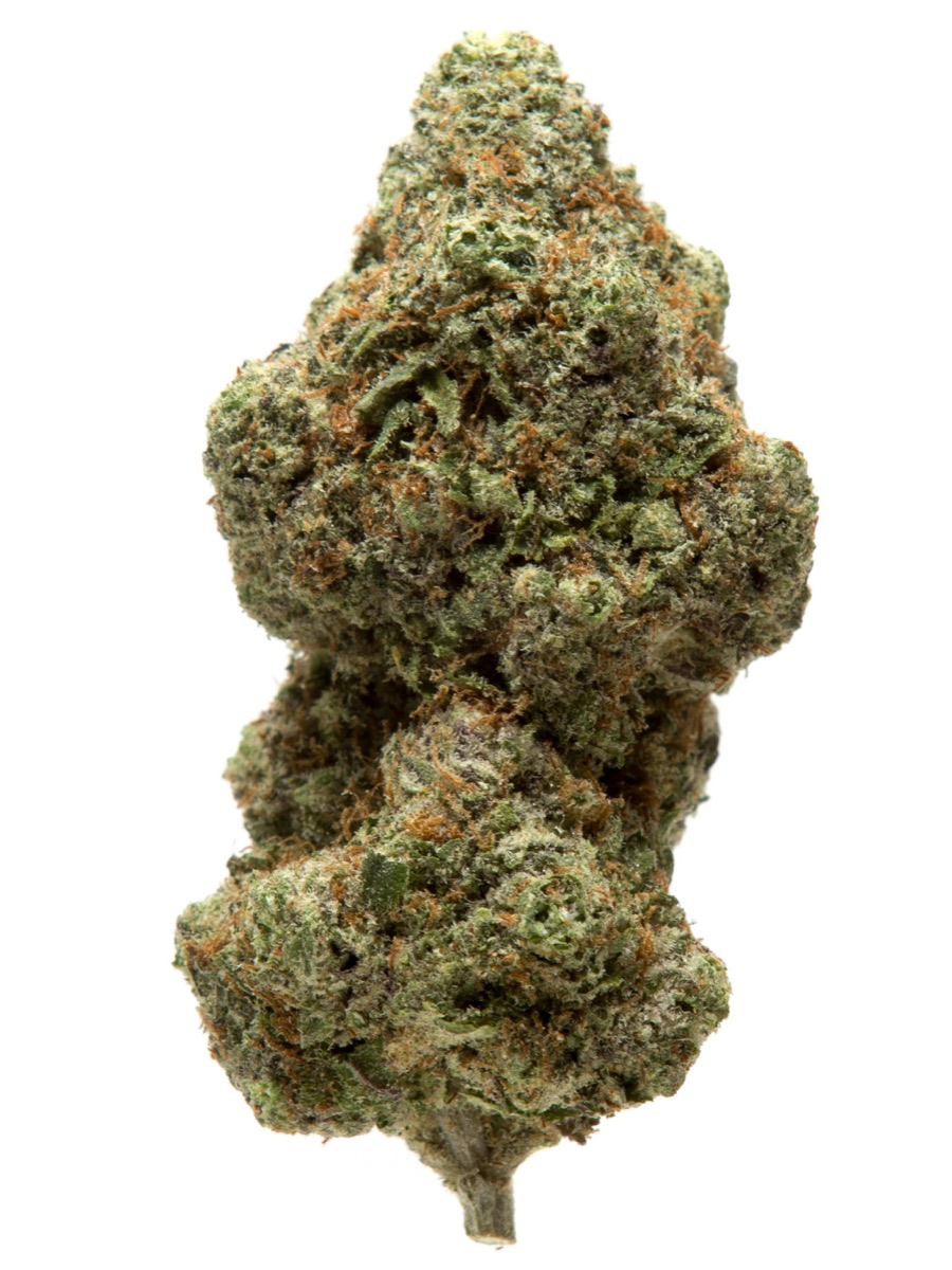 Photo of Chocolate Thai