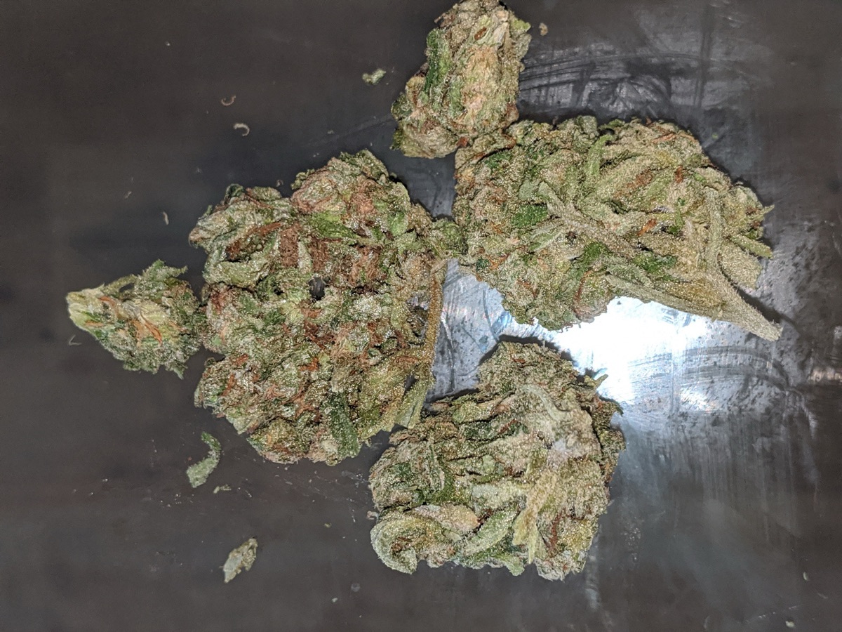 Photo of Chronic