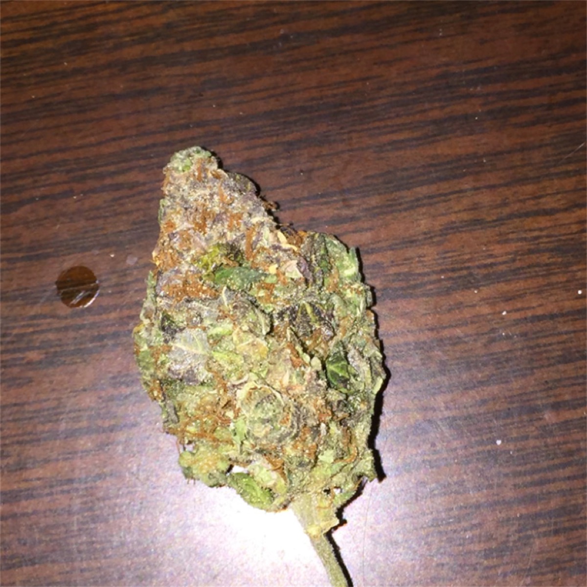 Photo of Cinderella 99