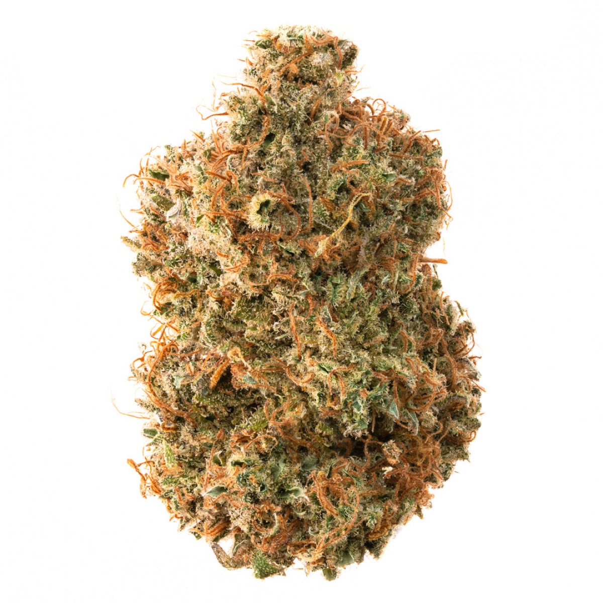 Photo of Critical Cure