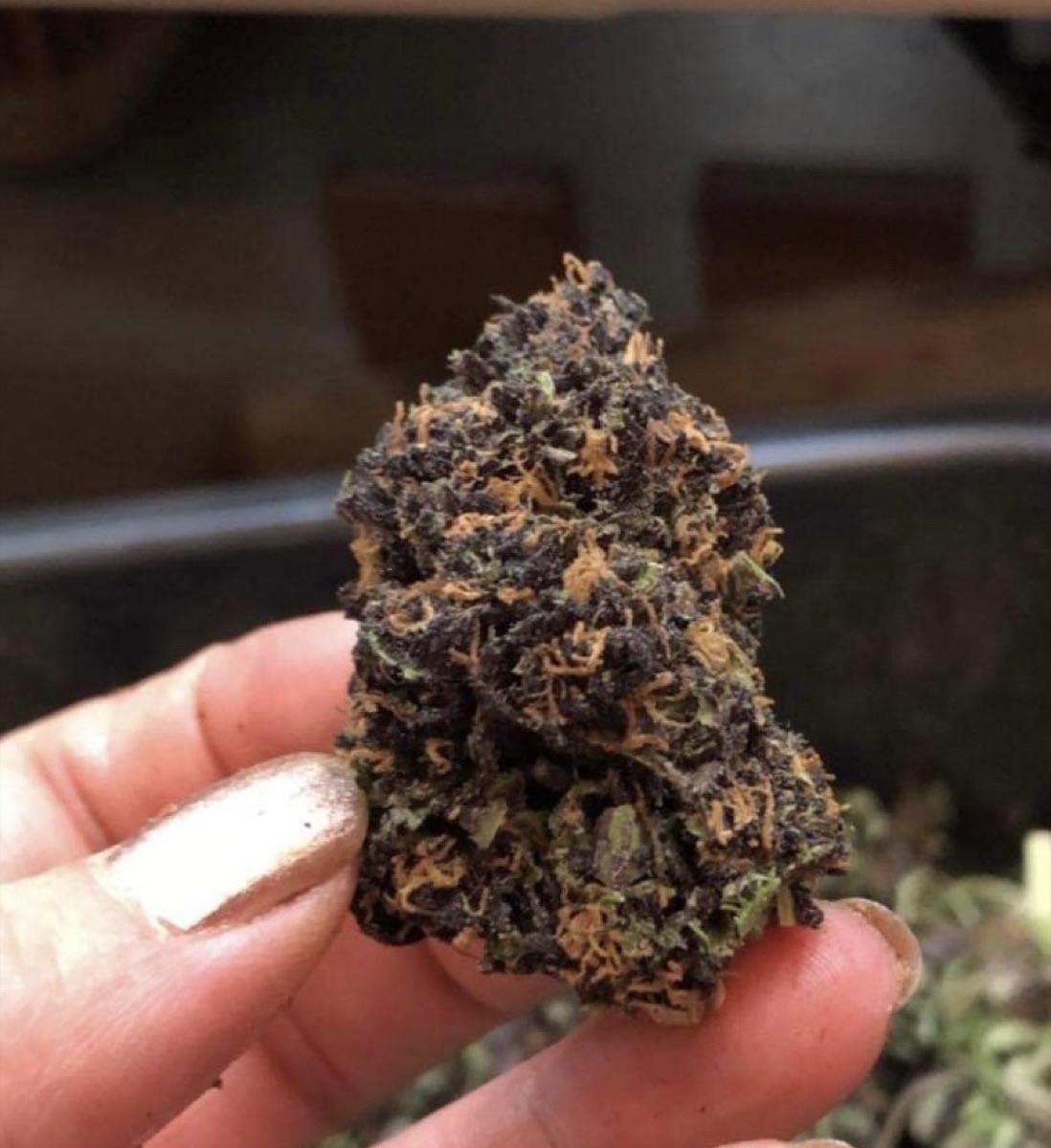 Photo of Dark Matter