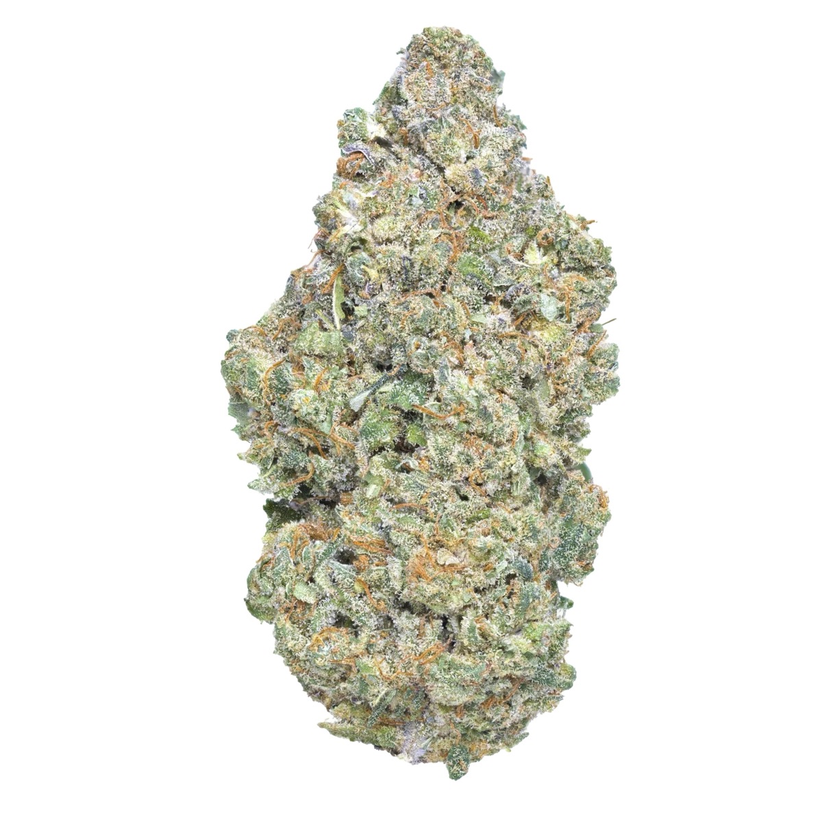 Photo of Dough Boy