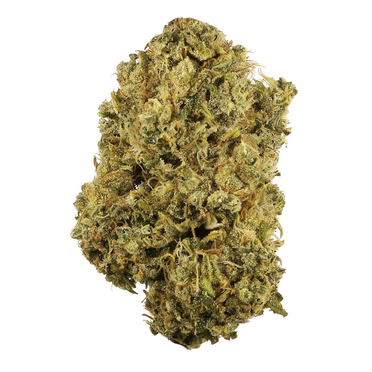 Photo of Durban