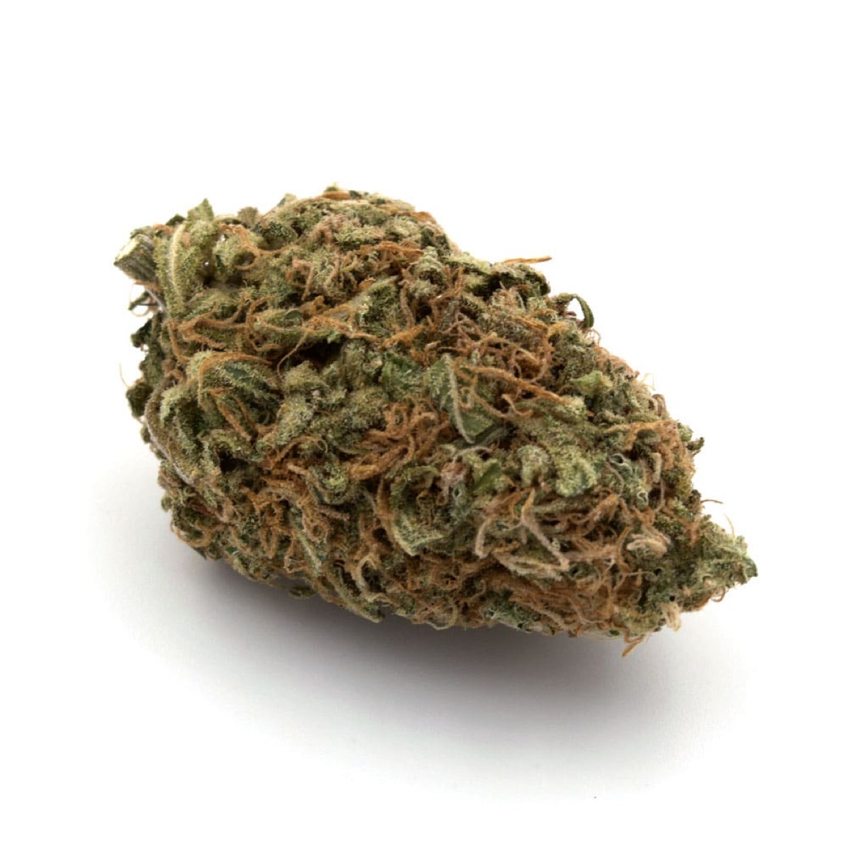 Photo of Dutch Cheese
