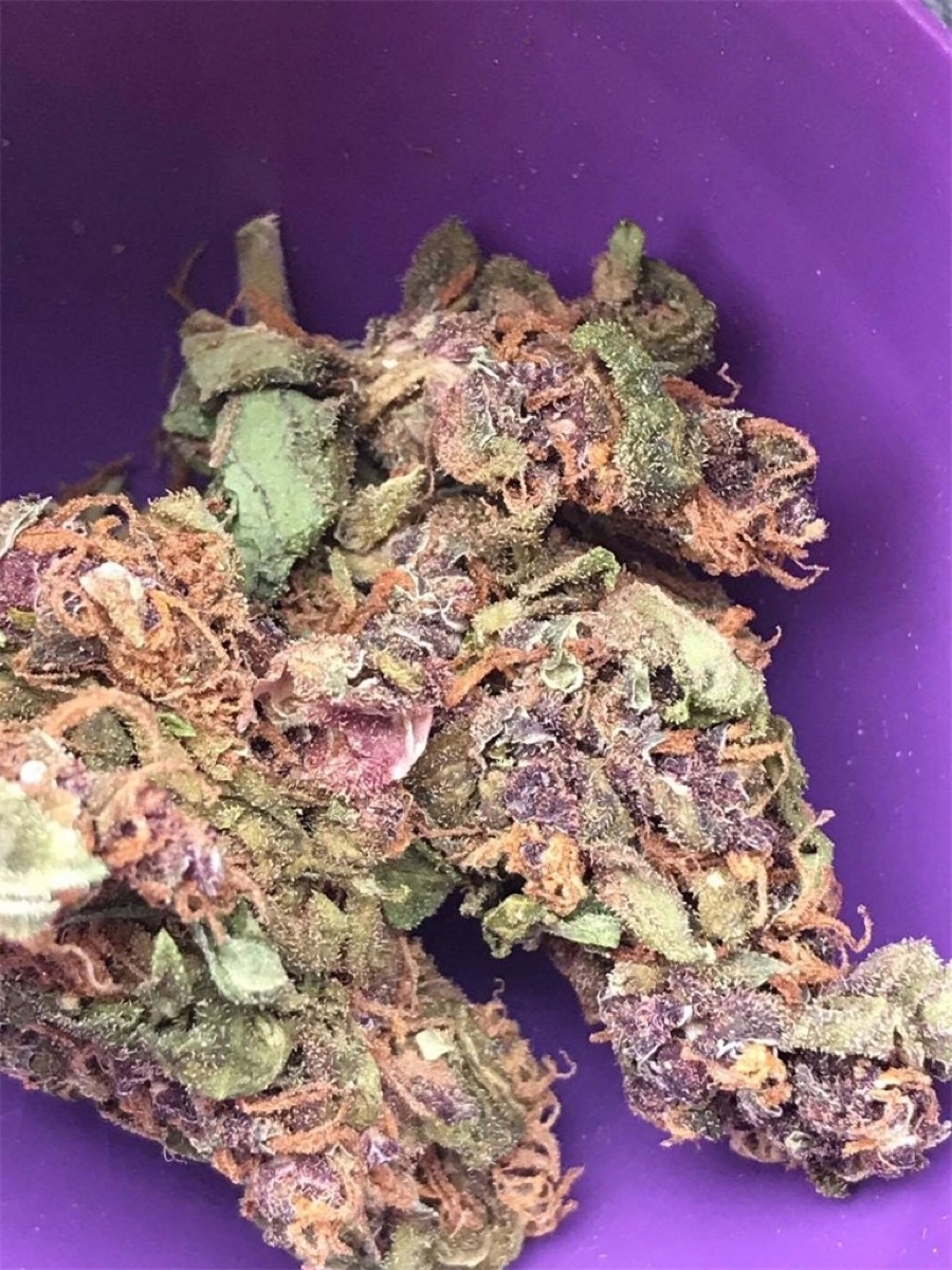 Photo of Exodus Cheese